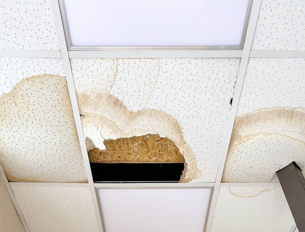 Sinkhole Damage Claims