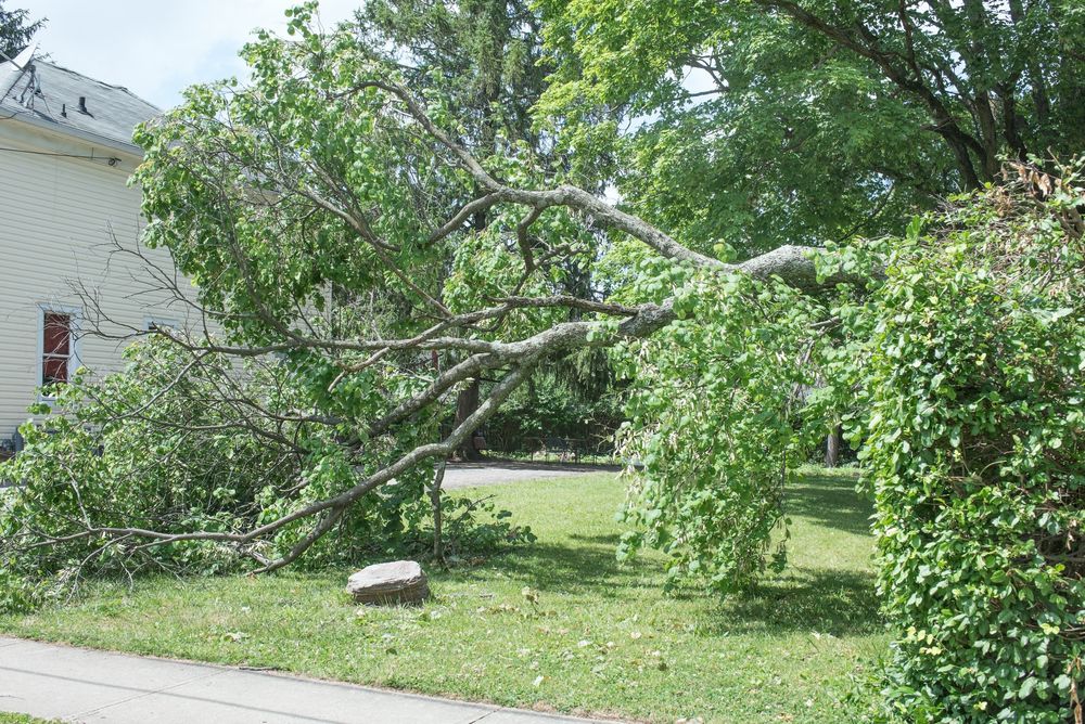 Tornado Damage Claims